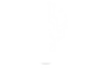 parsapulse.ir